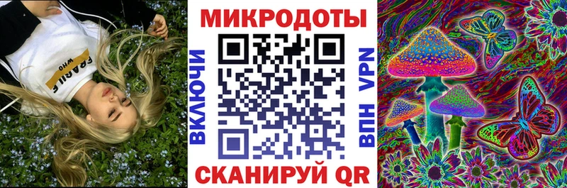 Купить закладки  Шиханы  Галлюциногенные грибы Psilocybe 